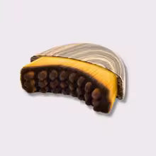 Glowe - Brosse Lymphatique